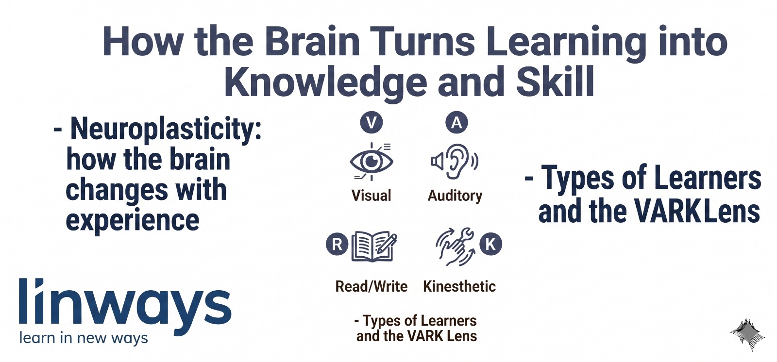 Learning Brain How the Brain Turns Learning into Knowledge and Skill. | Linways ...